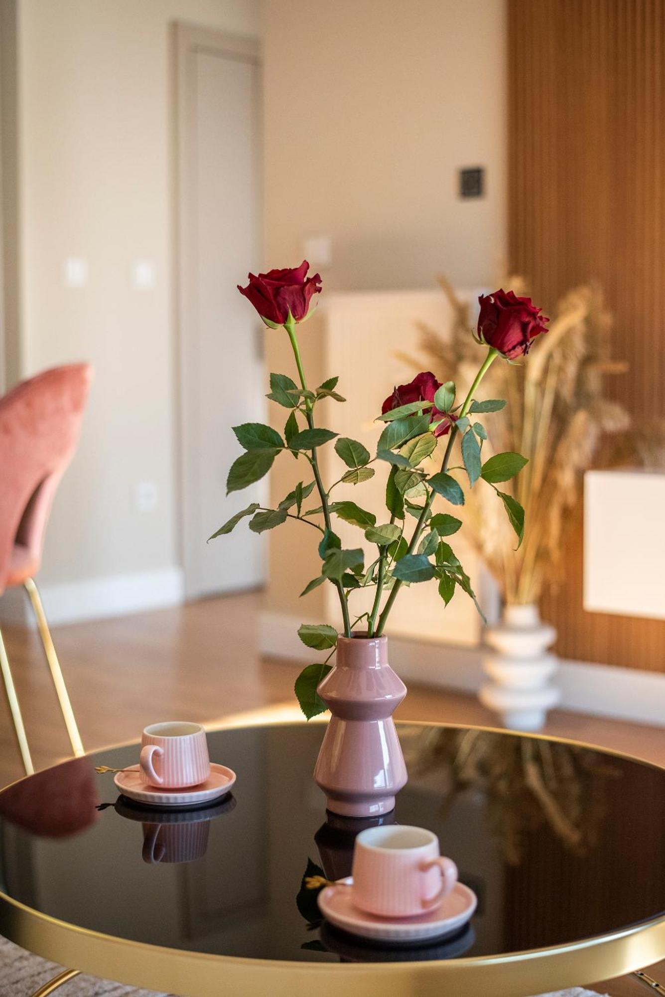 Lux Apartment Diamond-Limak Center 斯科普里 外观 照片